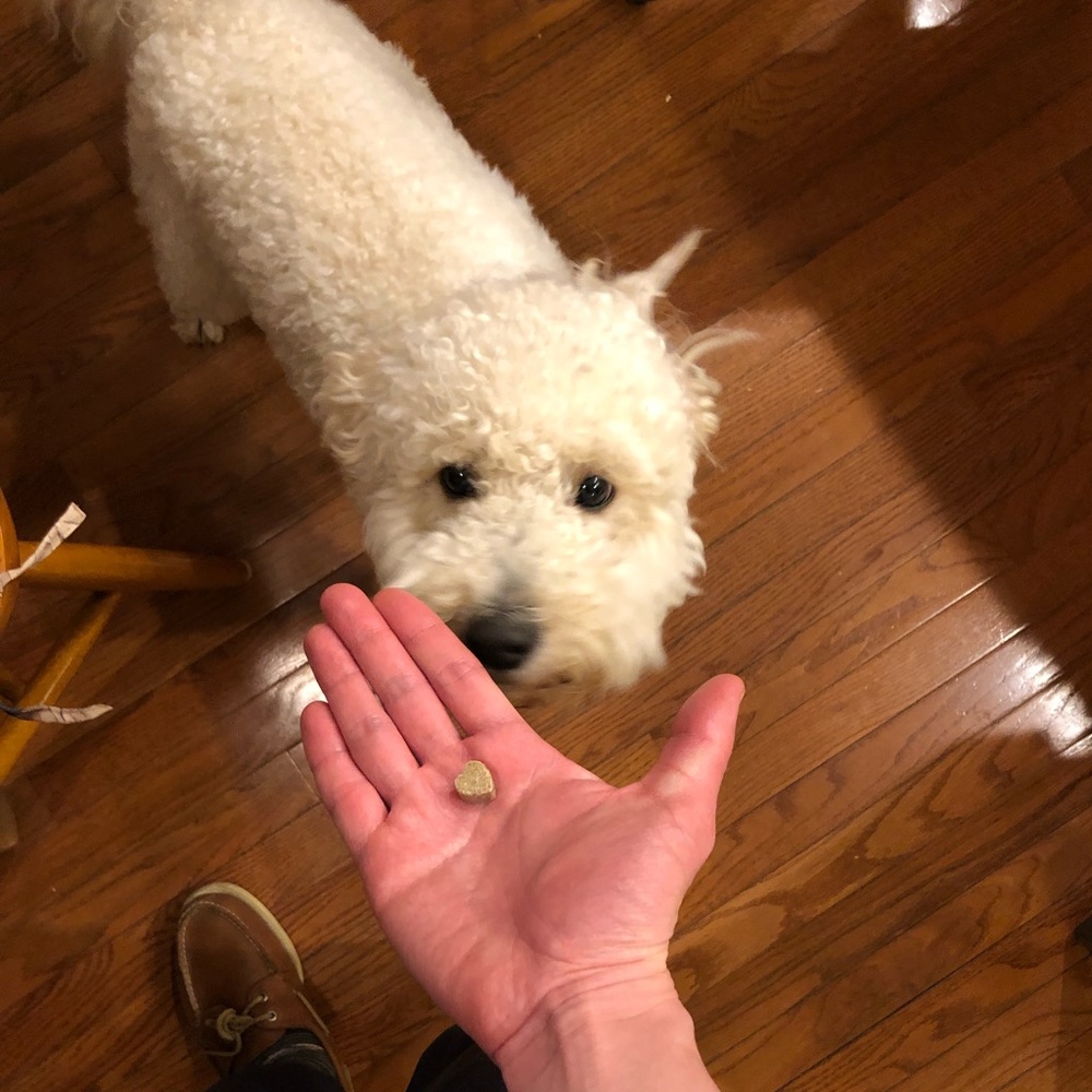 Hand Bags, Shoes, clothes